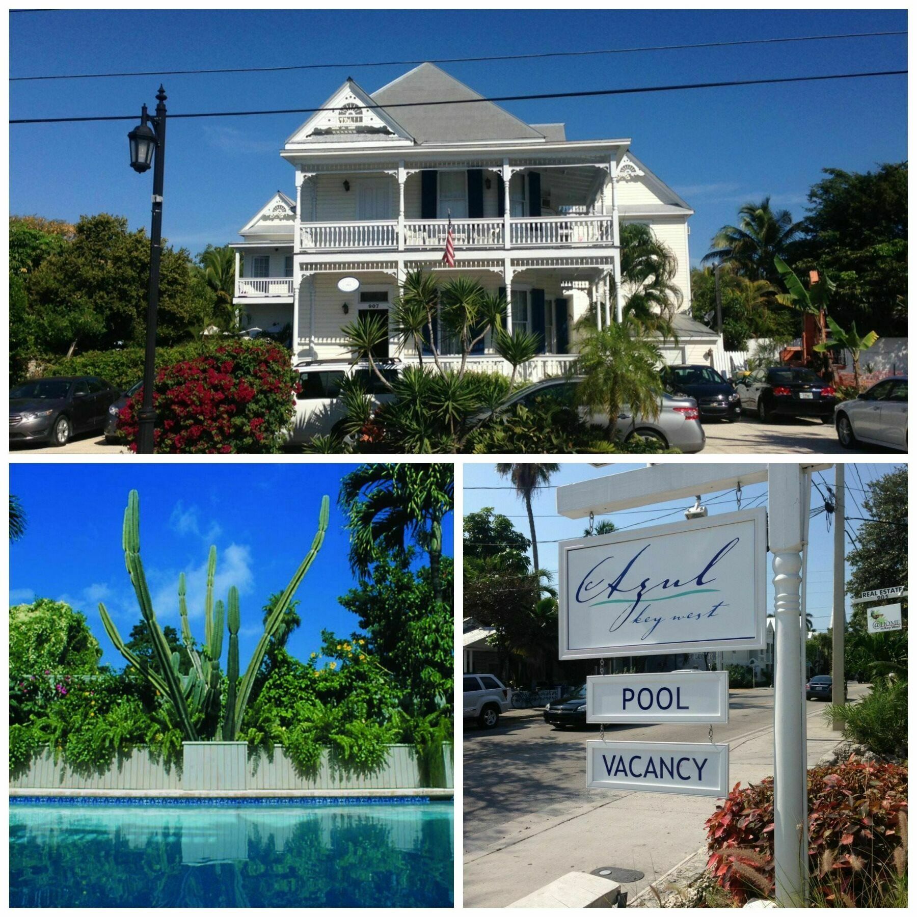 Bed and Breakfast Azul Key West Esterno foto